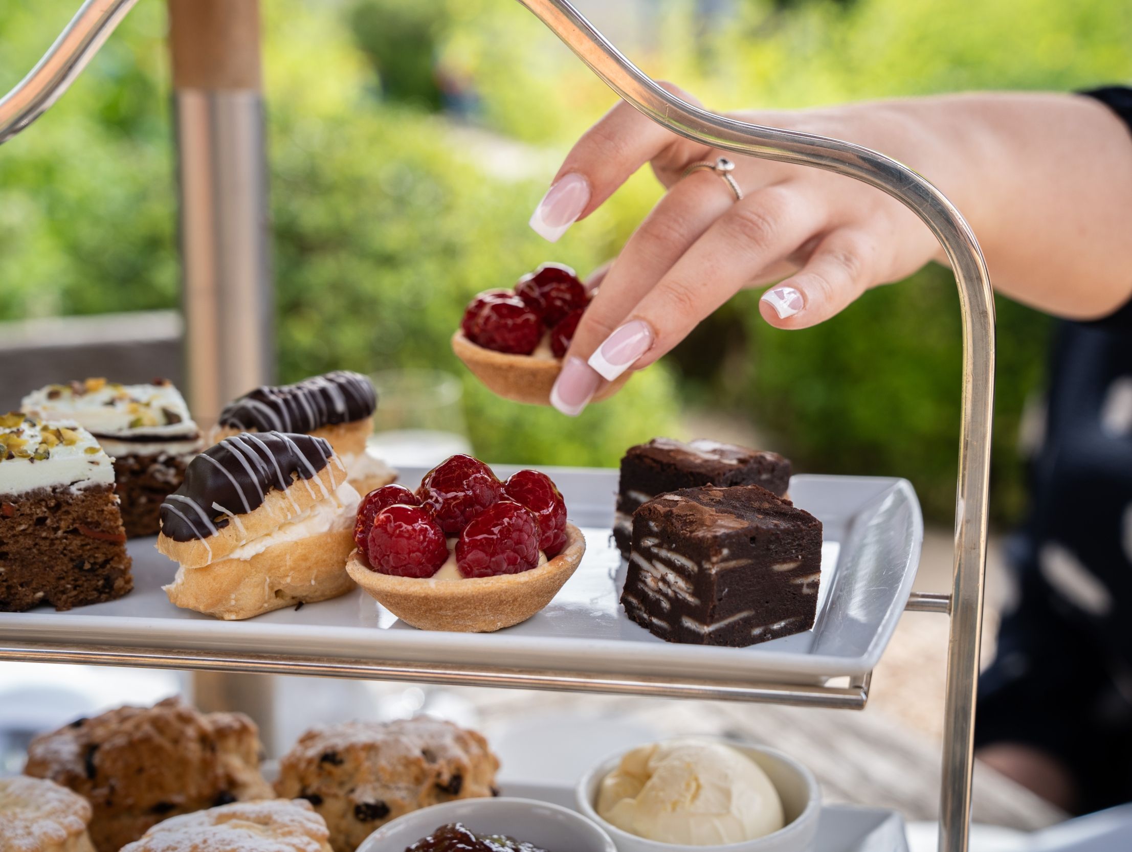 Afternoon tea cakes
