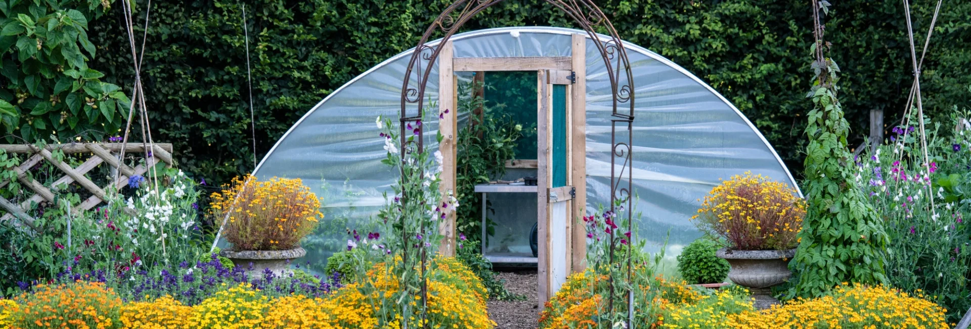 Kitchen garden