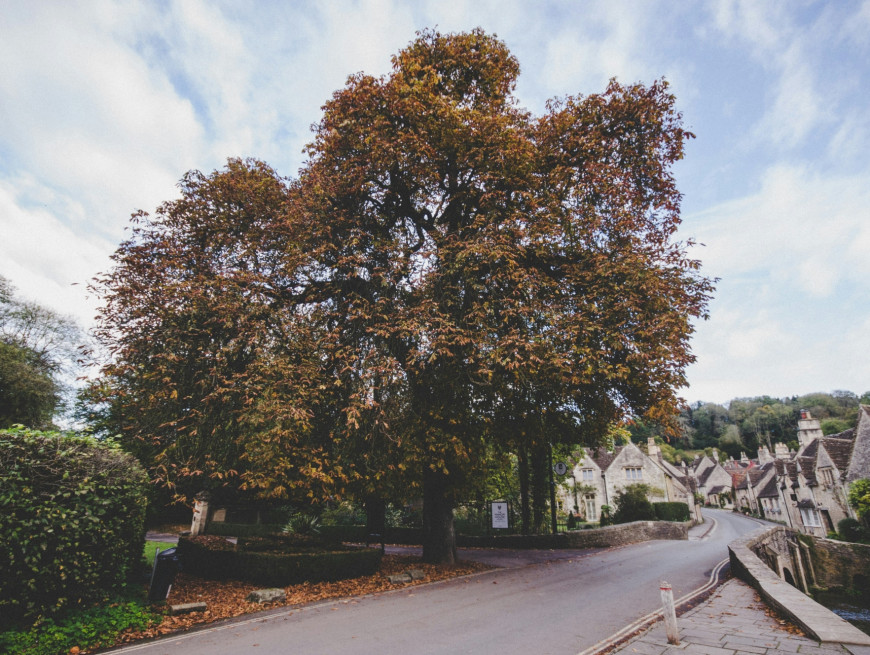 Castle combe